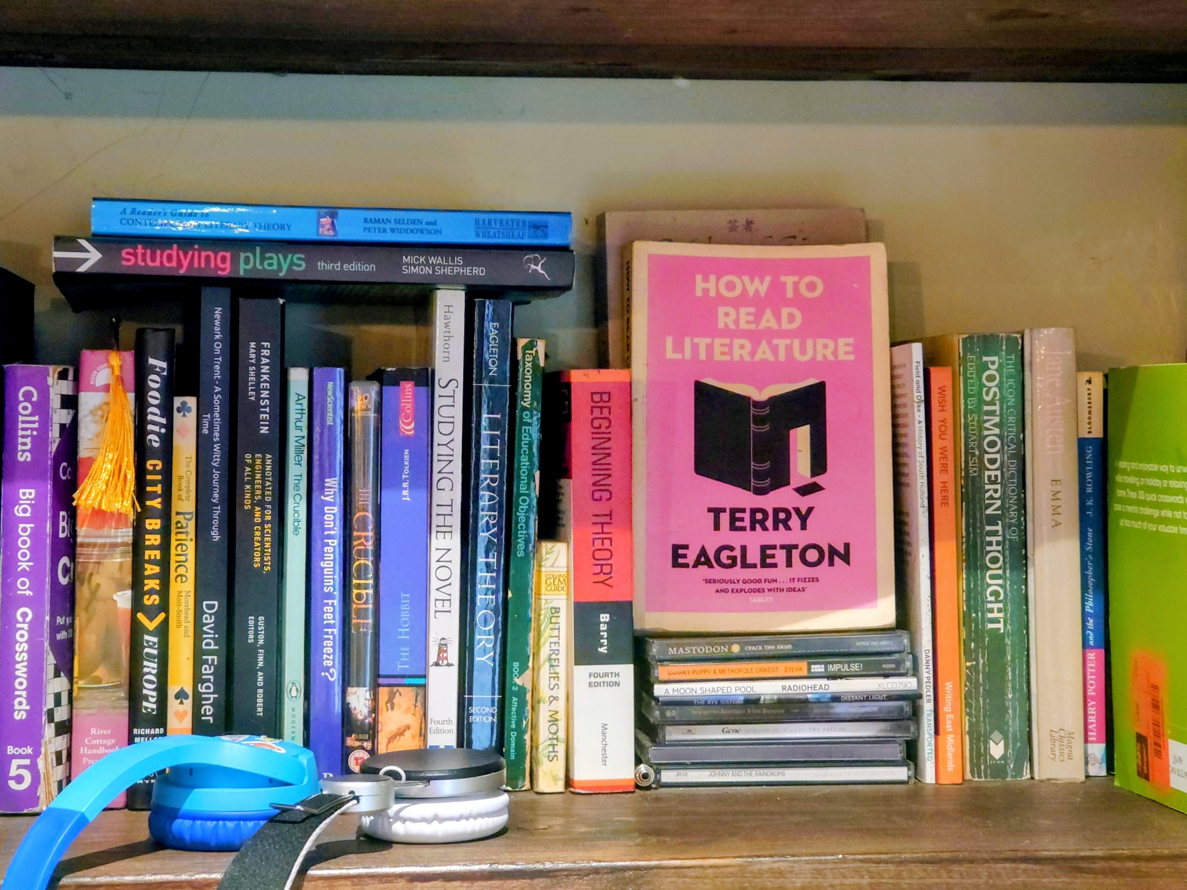 A shelf of books, many theoretical handbooks related to Literature